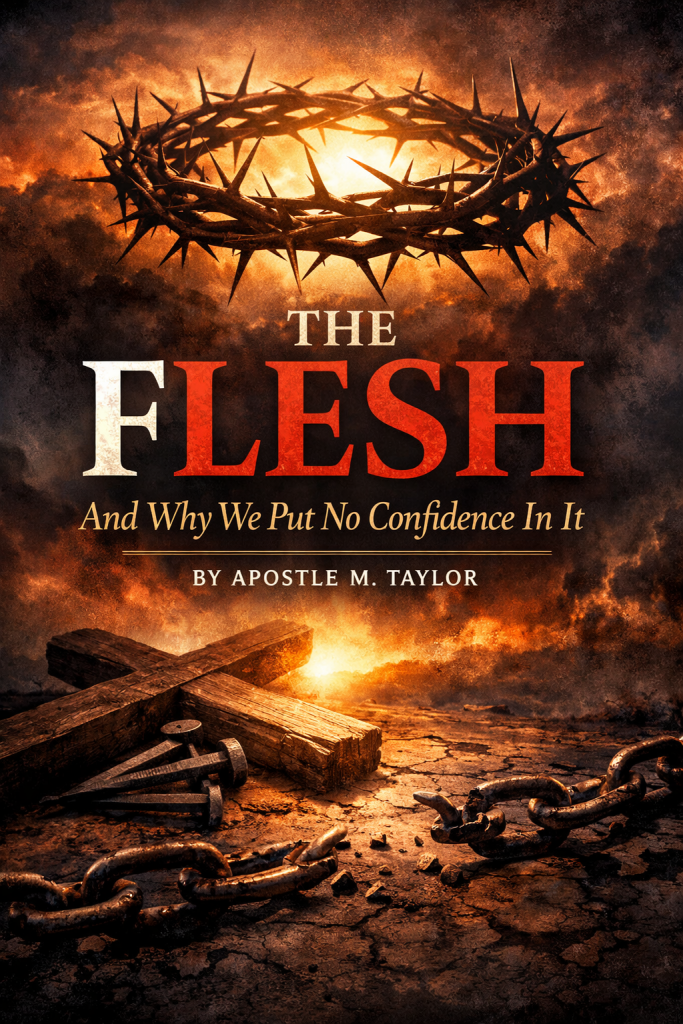 chatgpt image dec 18, 2025, 05 43 17 am