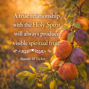 chatgpt image feb 2, 2026, 07 48 48 am