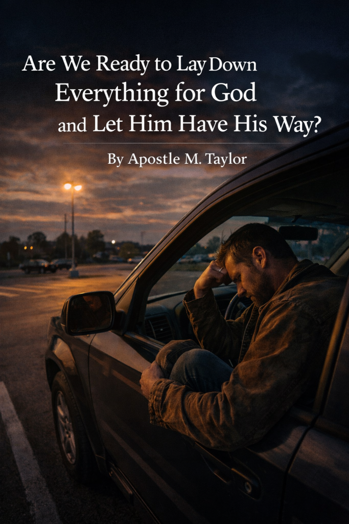 chatgpt image feb 20, 2026, 07 36 39 am