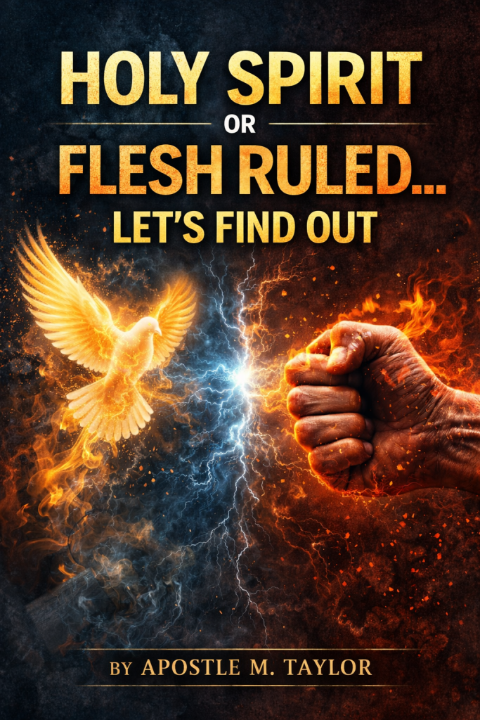 chatgpt image feb 22, 2026, 07 20 16 am