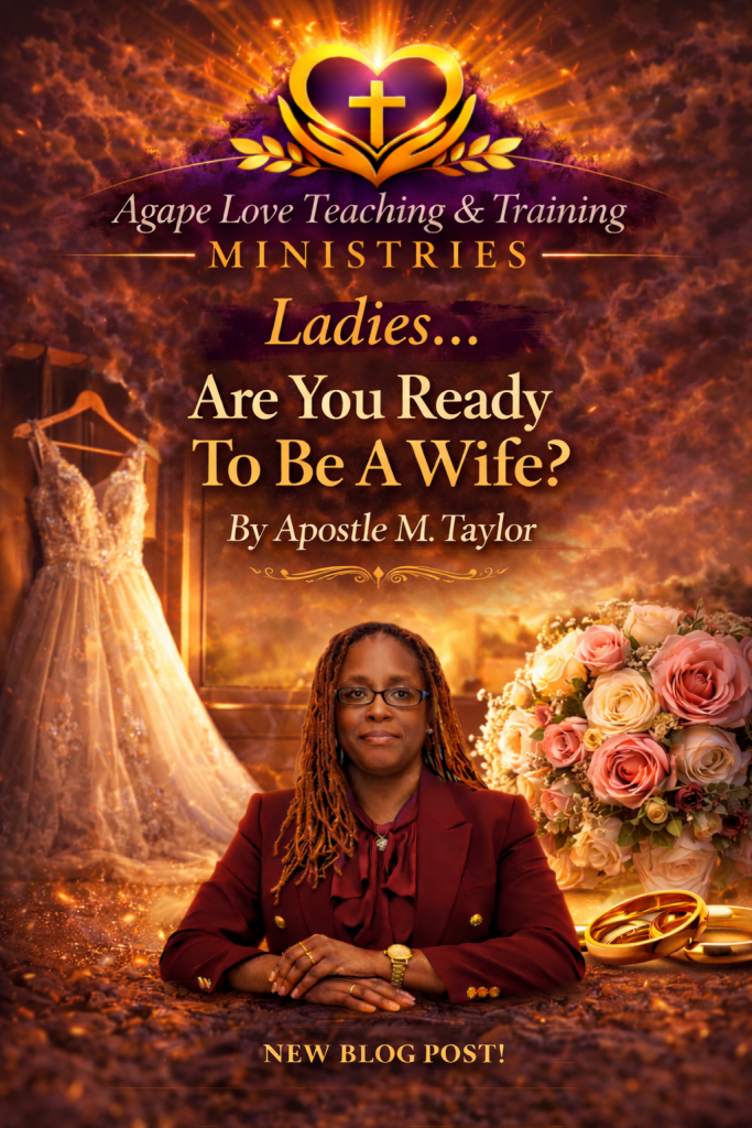 chatgpt image feb 25, 2026, 11 06 27 am